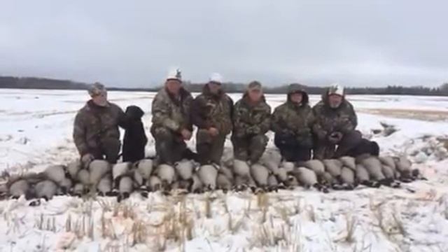 Goose hunt 2016