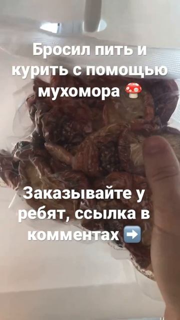 #мухомор #shorts #здоровье #микродозинг #грибы #заказать #бросилпить