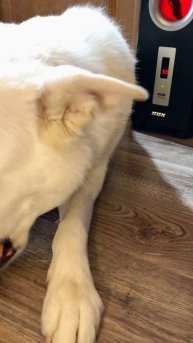 Распаковка вкусняшка