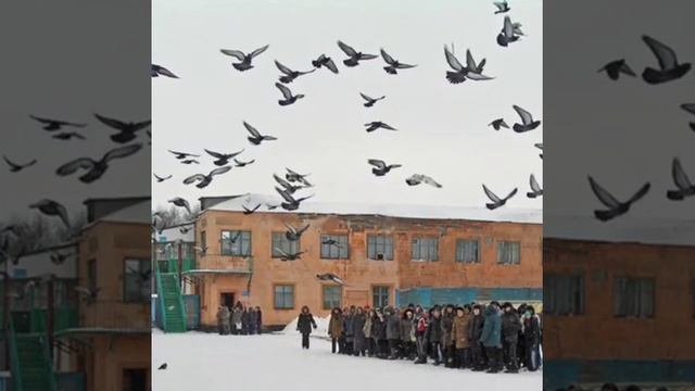 Аркадий Кобяков (Журавли)