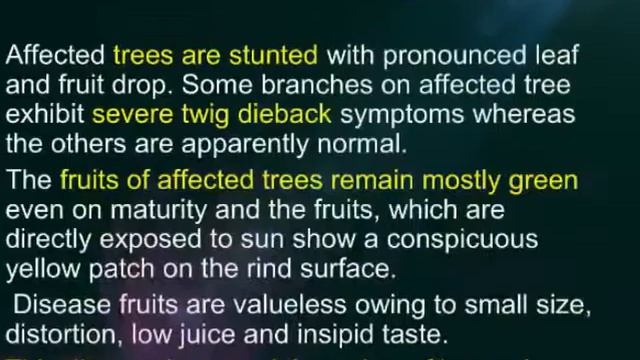 #Diseases of #citrus   #powdery mildew #citrus canker....
