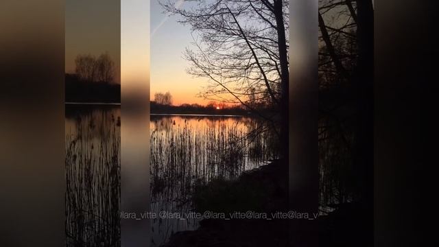#поэзия Лара Витте стихи о весне🌿
