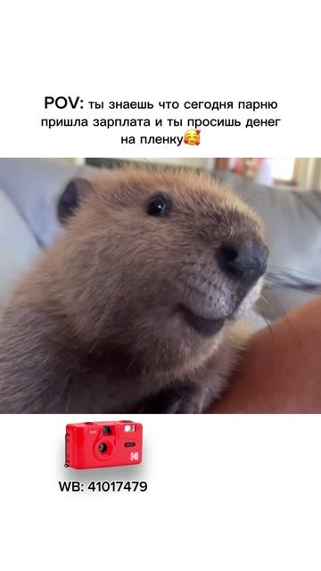 Kodak M35 многоразовый пленочный фотоаппарат, красный WB 41017479 ❤️