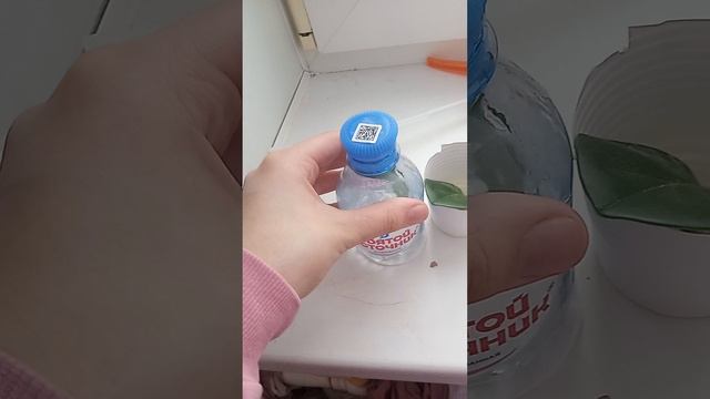 ухаживаю за цветочками 2*одно растение погибает*