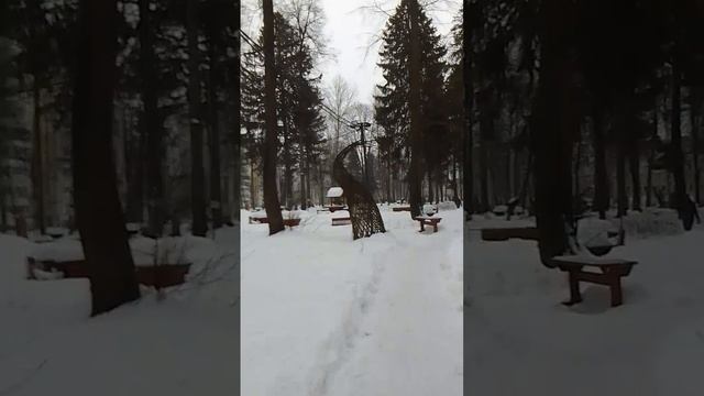 VID-20250202-WA0007
