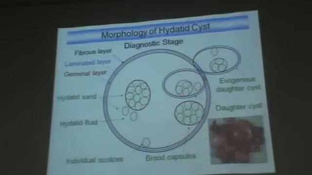 Dr Azza     Parasitology Echinococcus granulosus & hydatidosis   YouTube