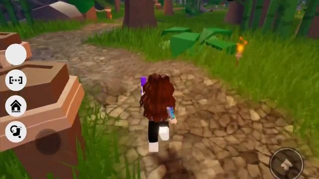 Find The Socks (195) Roblox - All Socks in Temple / Jungle Location!!