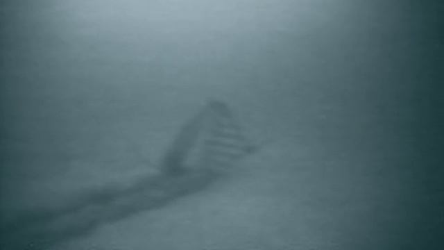 407-Draga(+)