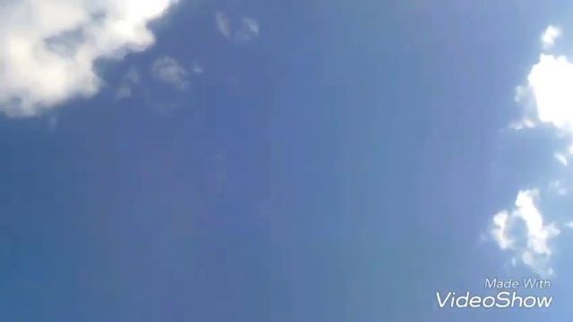 Едем в поход за ягодами)))