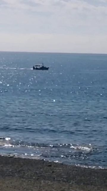 3 февраля НА МОРЕ. ТУРЦИЯ 2025.