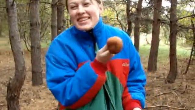 грибы