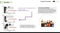 Plant based fermentation 17042020