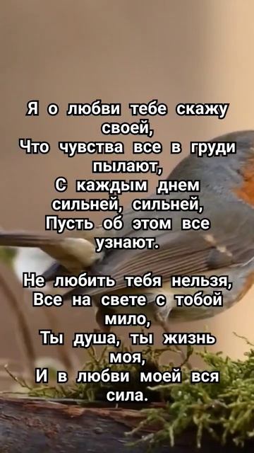 история чувств и любви, стихи❤️❤️🔥