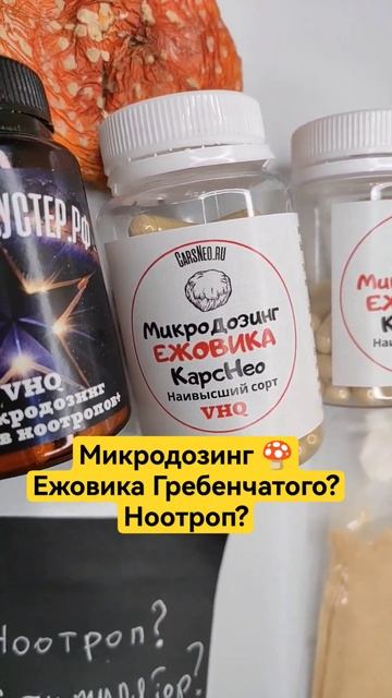 Микродозинг 🍄 Ежовика Гребенчатого? #мухомор Ноотроп? #микродозингмухомора #ежовик
