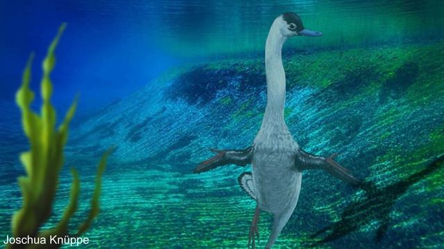 Halszkaraptor the Aquatic Duck Dinosaur