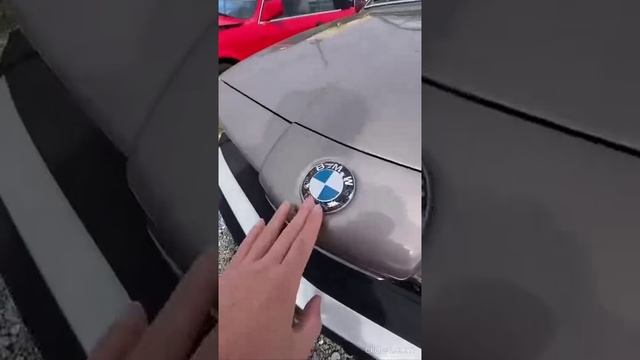 сколько же стоит эта легендарная акула,?