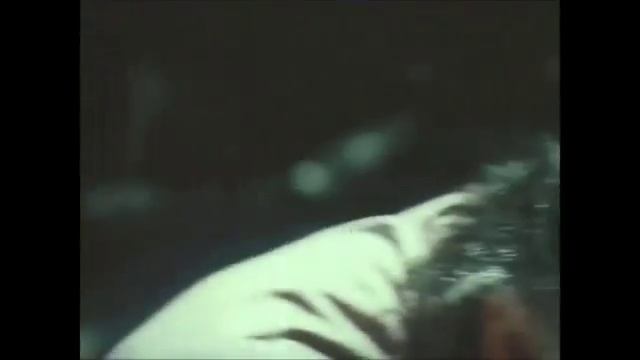 как грузины грибы проверяли