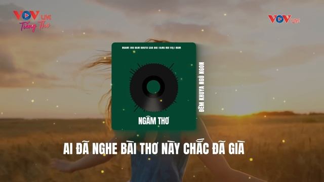Ai Đã Nghe Bài Thơ Này Chắc Đã Già - Ngâm Thơ Đêm Khuya VOV Dễ Ngủ Nhất