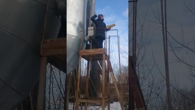Света Литвак - стихи на трубе