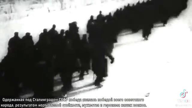 ТГ "Стерео точка" - Сообщение разгроме гитлеровцев под Сталинградом!.mp4