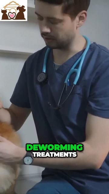 🤩 Protect Your Dog's Health and Happiness with Effective Parasite Control