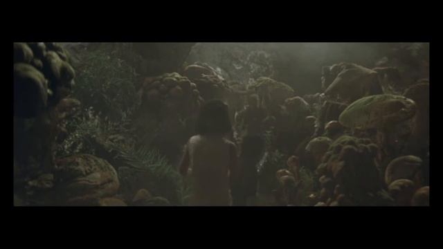 Omni vs Tokusatsu, Part 5 | Matango: Attack of the Mushroom People