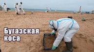 Спасаем побережье от мазута. Бугазская коса.