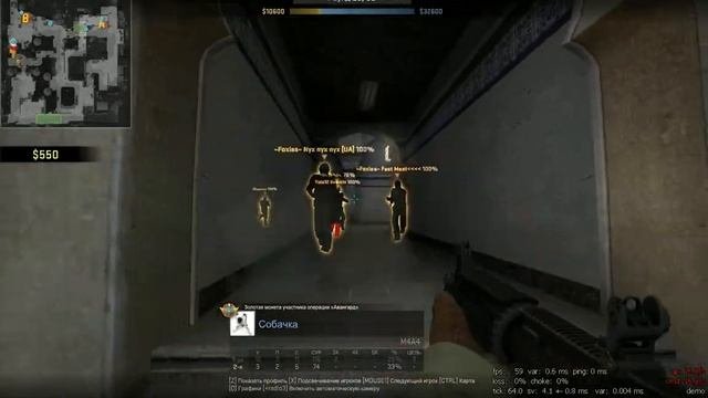Easy Ace Собачки