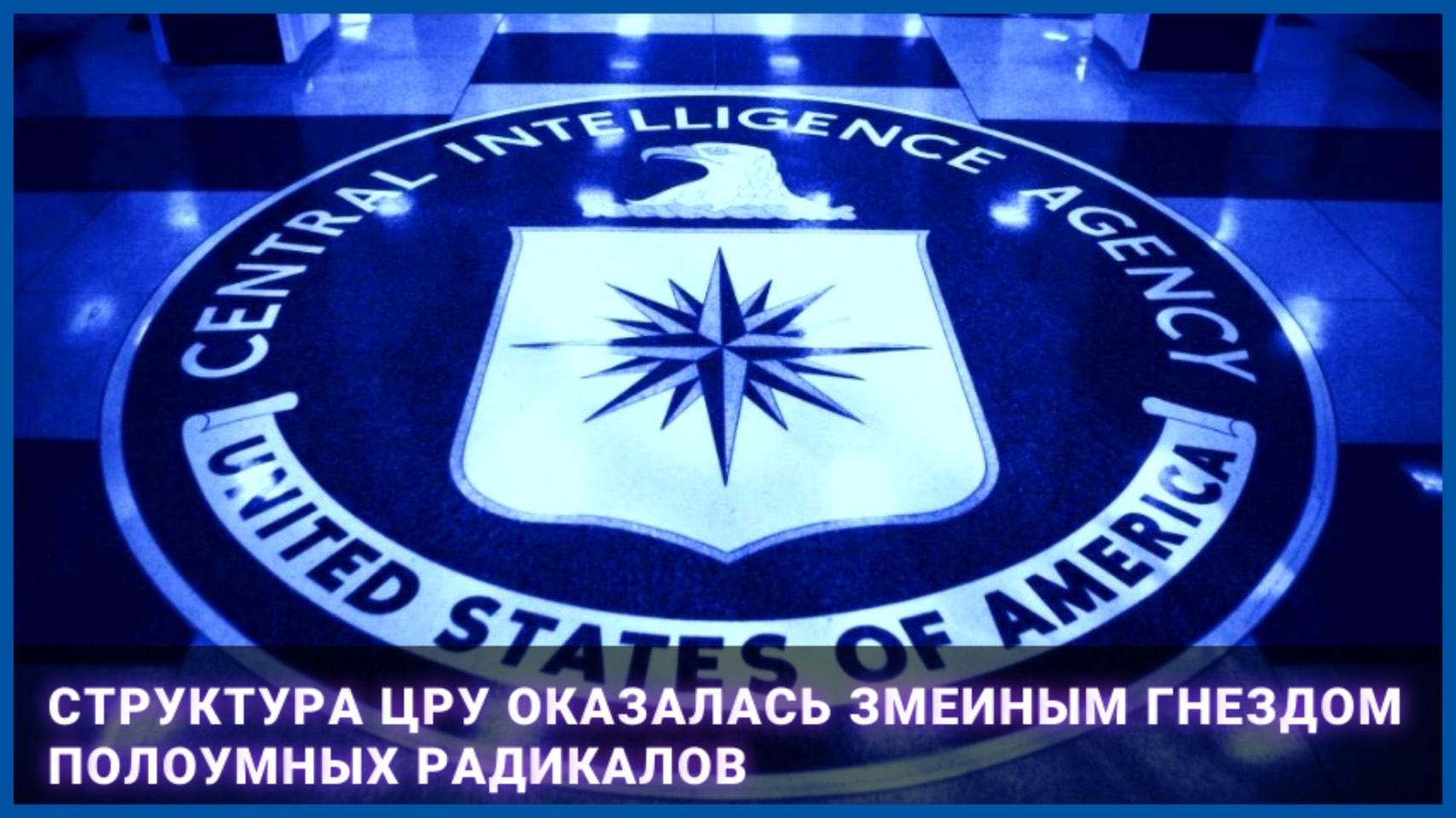 Структура ЦРУ оказалась змеиным гнездом полоумных радикалов