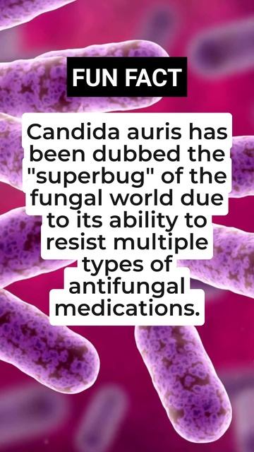 Candida auris and its "fascinating" capabilities 😳 #shortsclip #shortscraftyoutuber #subscribe