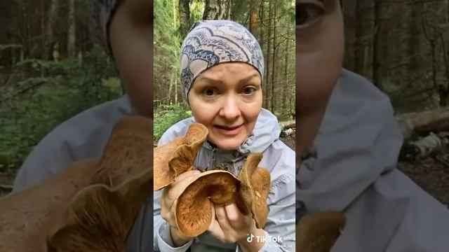 2 ноября 2023 г.
