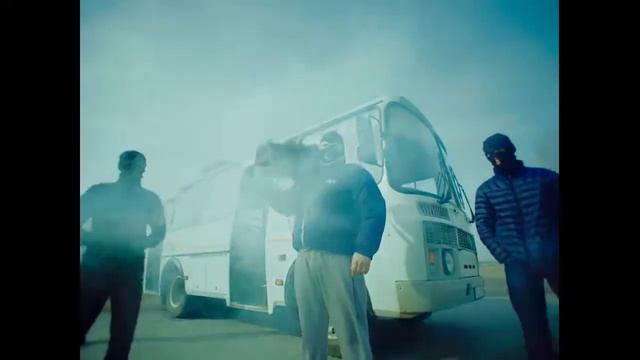 Грибы тает лёд