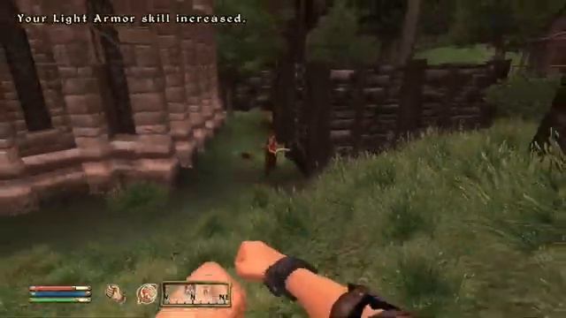 Max speed in Oblivion is hilarious