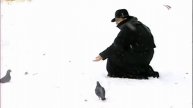 Комаровские ~ Отечество и судьбы