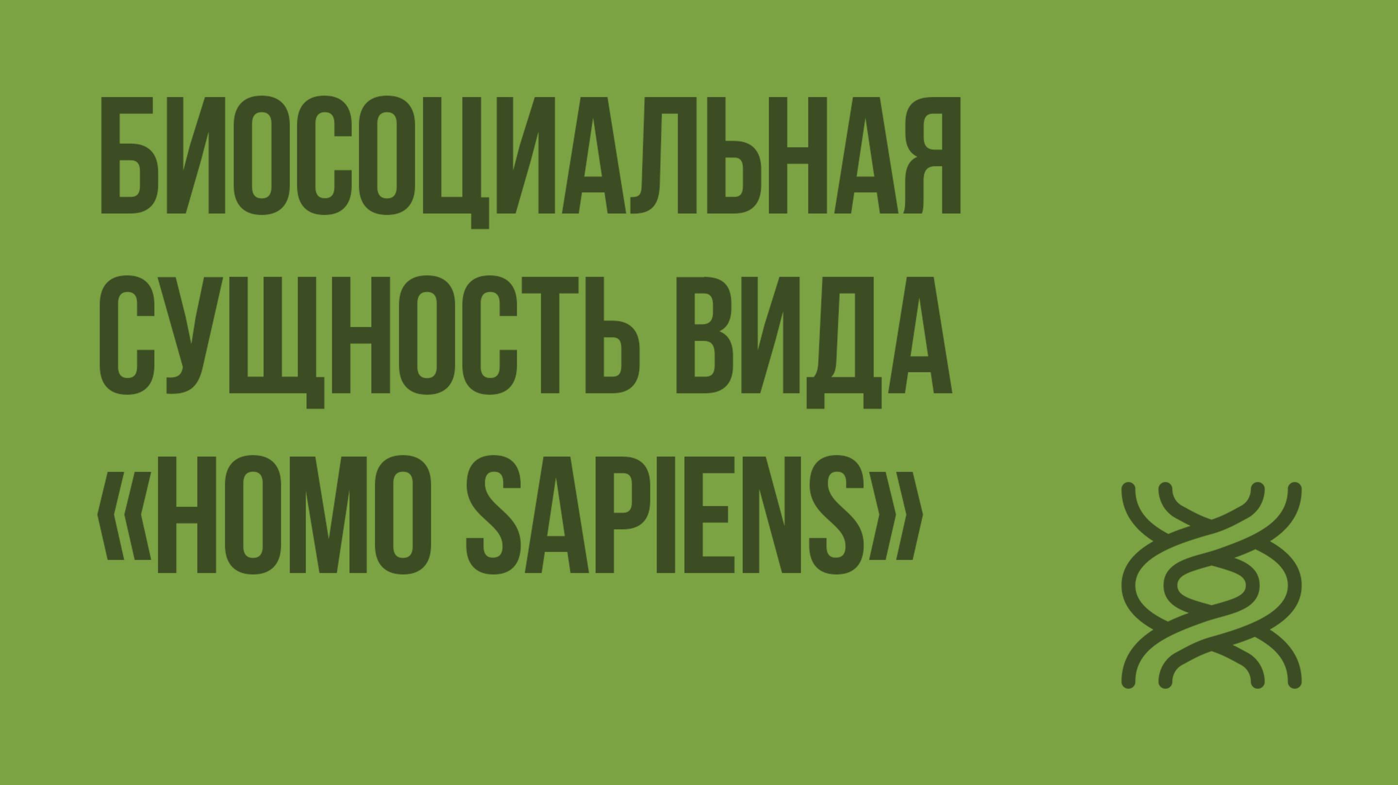 Биосоциальная сущность вида Homo sapiens. Видеоурок по биологии 9 класс