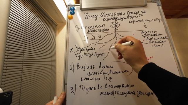 Чому Мікогардіан працює краще корнестимулятора - ваші питання