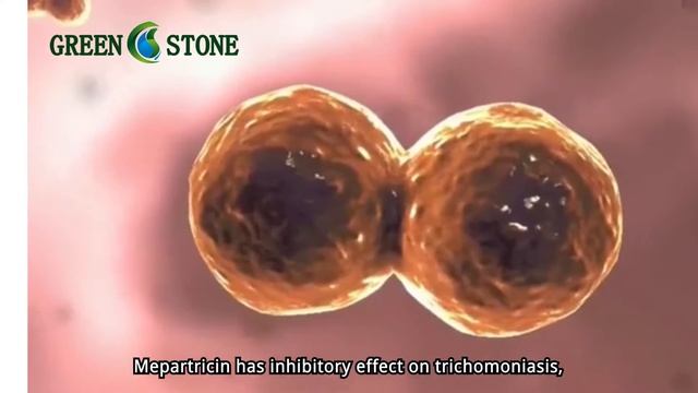 mepartricin buy