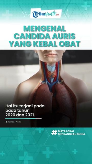 Mengenal Jamur Candida Auris, Kuman Kebal Obat yang Serang Rumah Sakit di AS