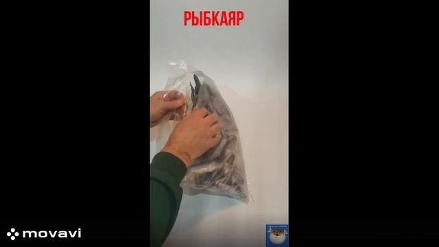 Ряпушка замороженная с доставкой в Ярославле