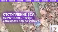 Огнеопасная находка и минус мост: наш спецназ сорвал планы ВСУ / Известия