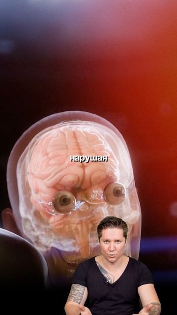 Что происходит во время нокаута #научпоп #анатомия #интересныефакты