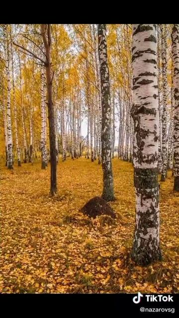 на природу🍁🌼