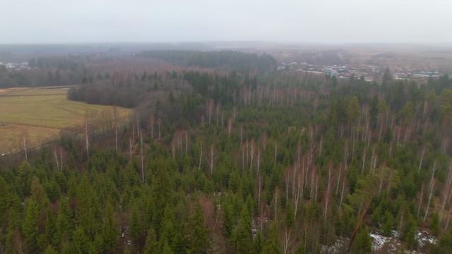 Усадьба Четыре Сезона
