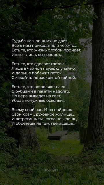 Стихи современных поэтов до глубины души ♥️ #поэзия