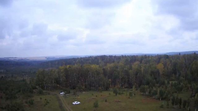 За грибами