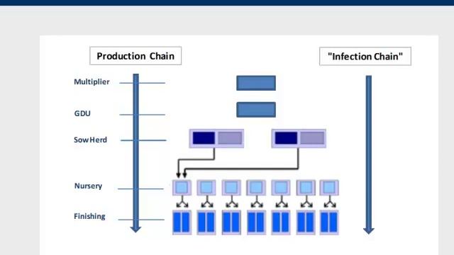 Dr. Brian Payne - Infection Chain Concept