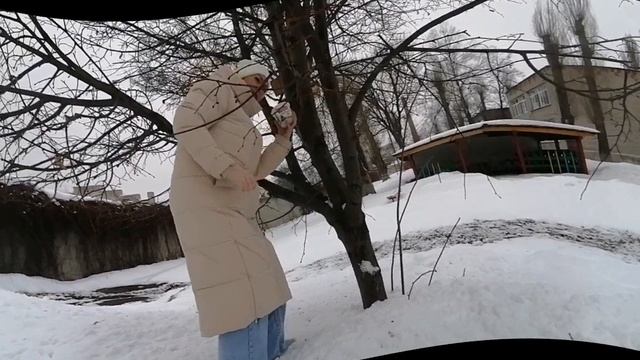 Акция "Будем друзьями птиц"