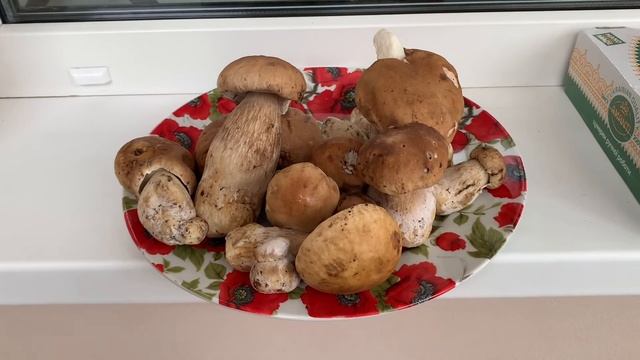 Белый гриб - бесподобная вкуснятина!