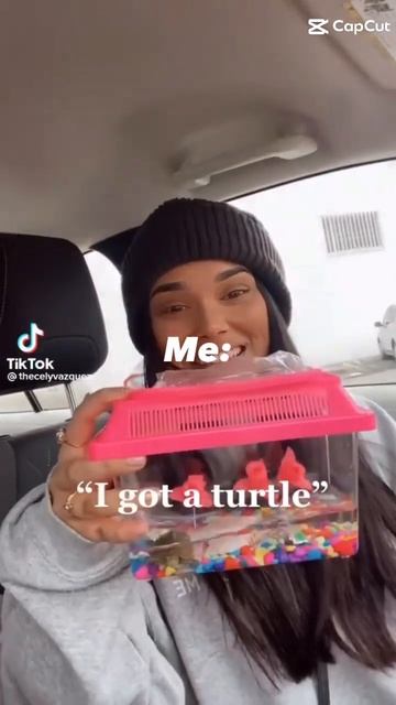 I'm sorry I LOVE turtles 🐢🥺 they are adorable ok...ok