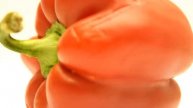 Phytophthora capsici bitkilerde ki etkisi !